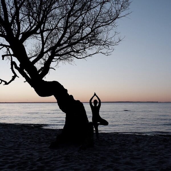 Yoga i Landsbyen (privat hold)